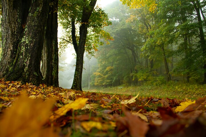 Visite audio libre Skyline Drive et Shenandoah NP
