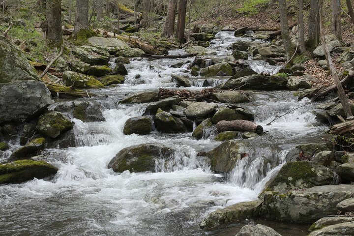 Visite audio libre Skyline Drive et Shenandoah NP