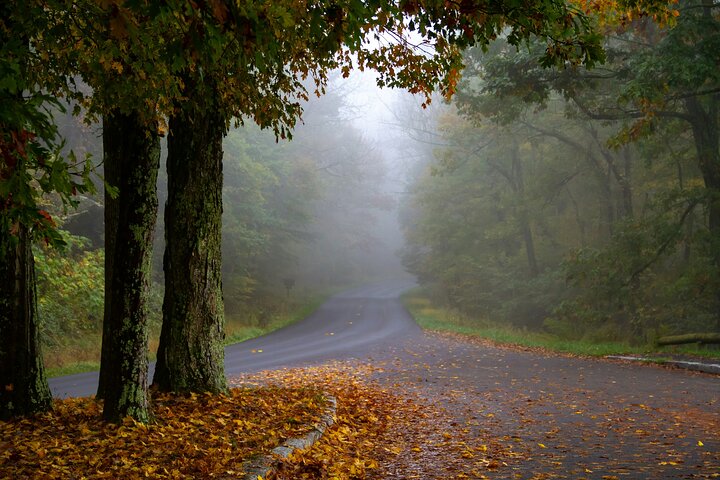 Visite audio libre Skyline Drive et Shenandoah NP