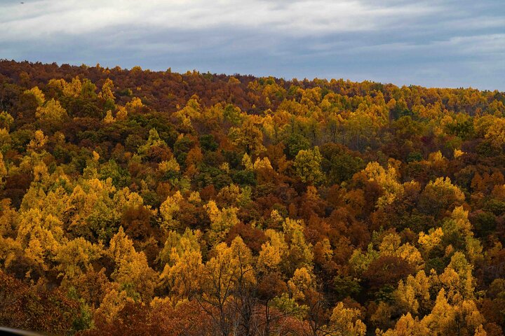 Visite audio libre Skyline Drive et Shenandoah NP