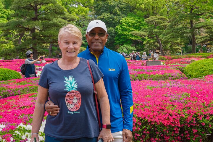 Tokyo Customized Private Tour (Must See Places in 1 Day)