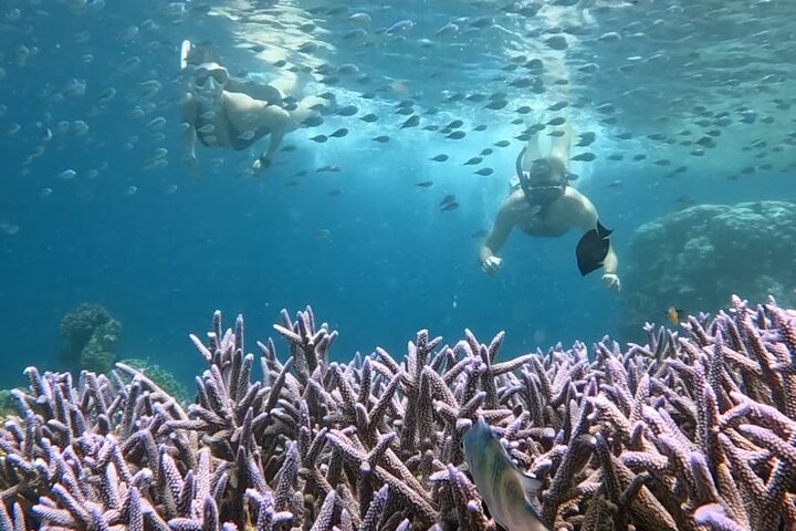 Tour privado de snorkel – Gili Kondo, Gili Bidara y Gili Kapal