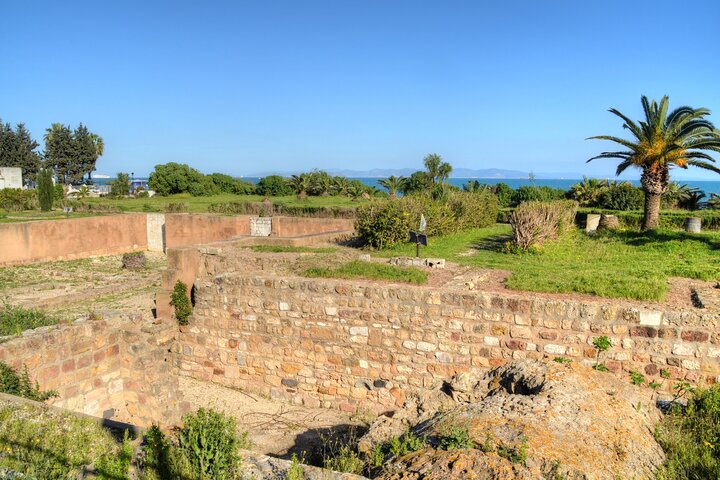 Cartago, dijo Sidi bou, Museo del Bardo y visita autoguiada a Medina