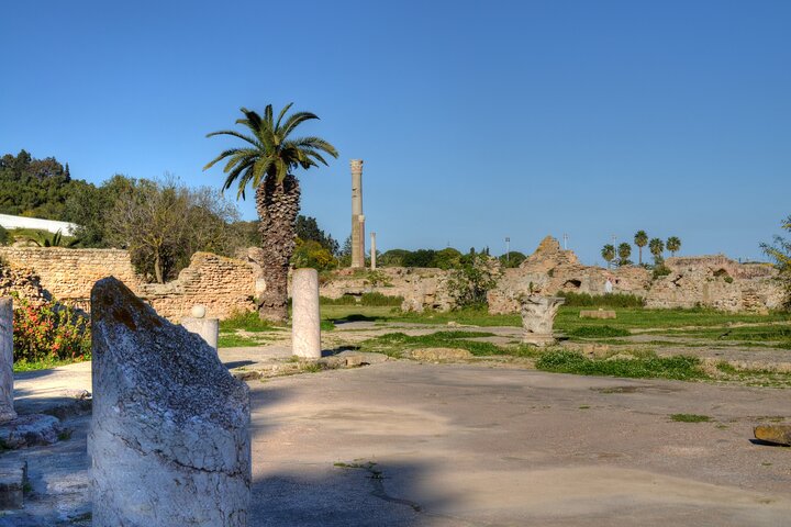 Cartago, dijo Sidi bou, Museo del Bardo y visita autoguiada a Medina