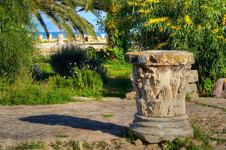 Cartago, dijo Sidi bou, Museo del Bardo y visita autoguiada a Medina