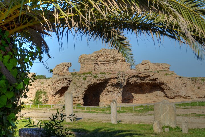 Cartago, dijo Sidi bou, Museo del Bardo y visita autoguiada a Medina