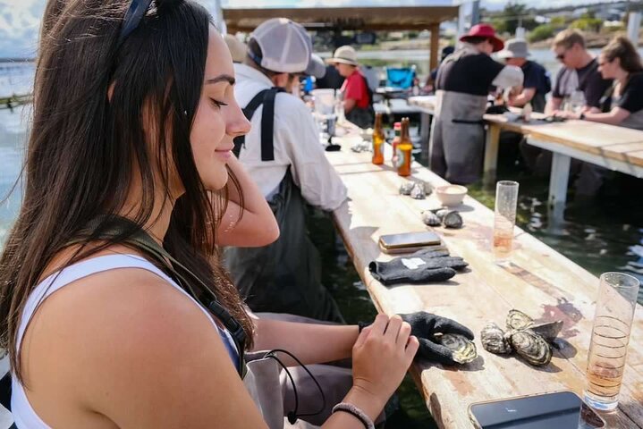 Tour di Oyster Farm con prelievo dall'hotel e ritorno da Port Lincoln