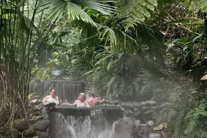 Arenal Volcano & Hot Springs Heldagstur från San José
