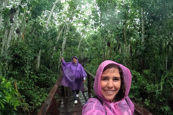 Passeio de 3 dias pela Selva Amazônica e Lago Sandoval a partir de Puerto Maldonado
