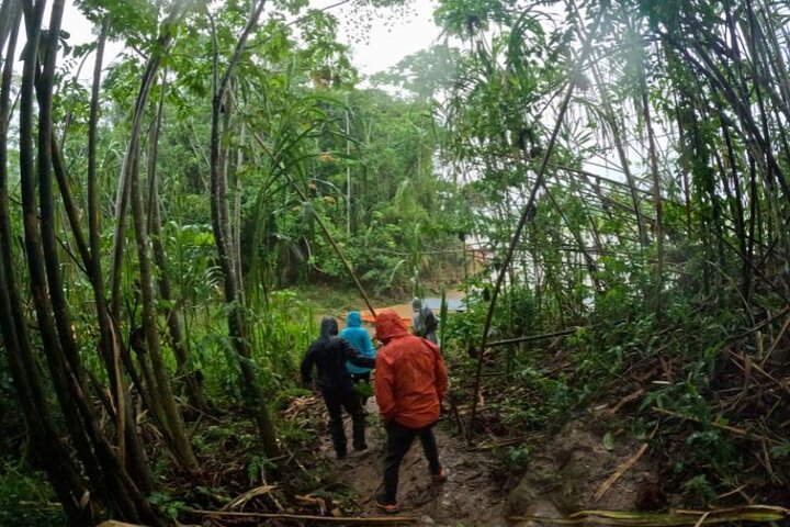 Passeio de 3 dias pela Selva Amazônica e Lago Sandoval a partir de Puerto Maldonado