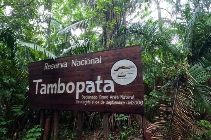 Passeio de 3 dias pela Selva Amazônica e Lago Sandoval a partir de Puerto Maldonado