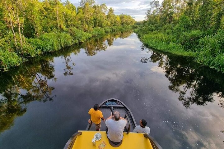 2Ns Orang-Utan Kelotok Tour in Tanjung Putting Kalimantan - Borneo