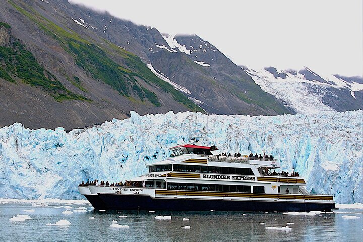 Crucero por el glaciar Prince William Sound 26