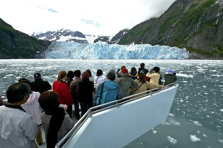 Crucero por el glaciar Prince William Sound 26