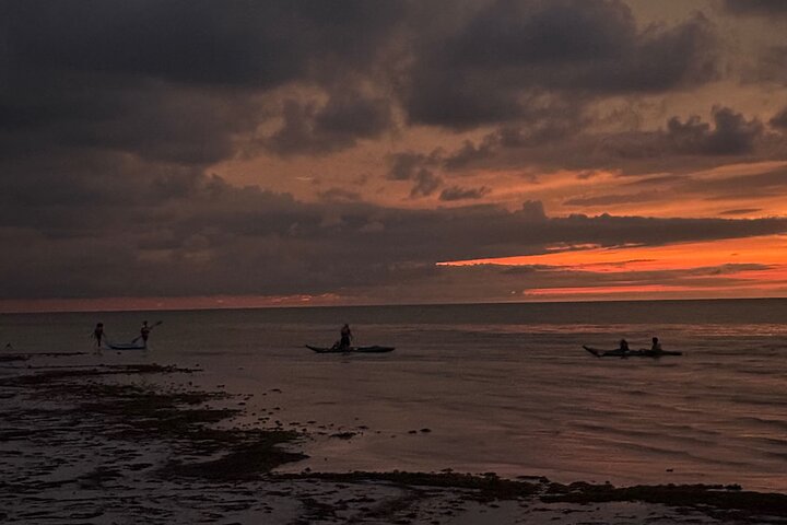 Esperienza in kayak nelle mangrovie dell'isola di Holbox