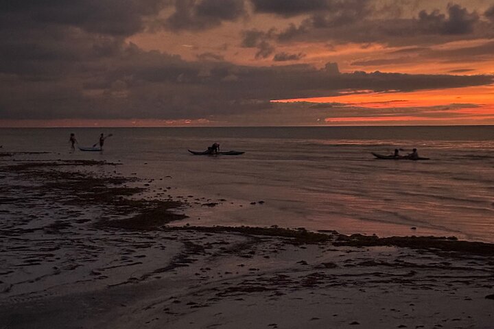 Esperienza in kayak nelle mangrovie dell'isola di Holbox
