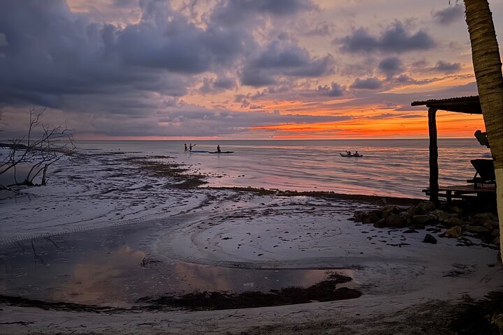 Esperienza in kayak nelle mangrovie dell'isola di Holbox