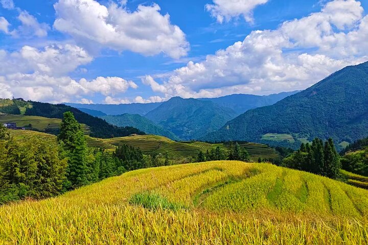 Terrazze di riso Longji con tour privato di un giorno al Minority Village
