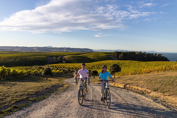 Selvstyrt sykkeltur (hel dag) i Marlborough-regionen.