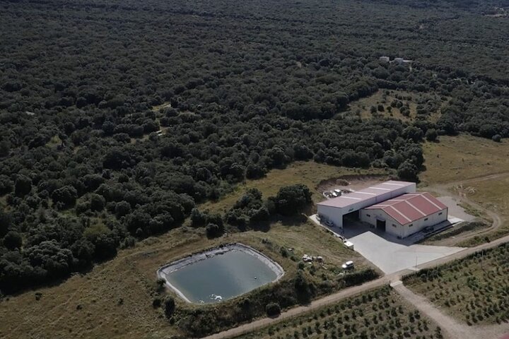 La Rioja Biosfera Azienda Suina Biologica e Degustazione di Prosciutto e Vino