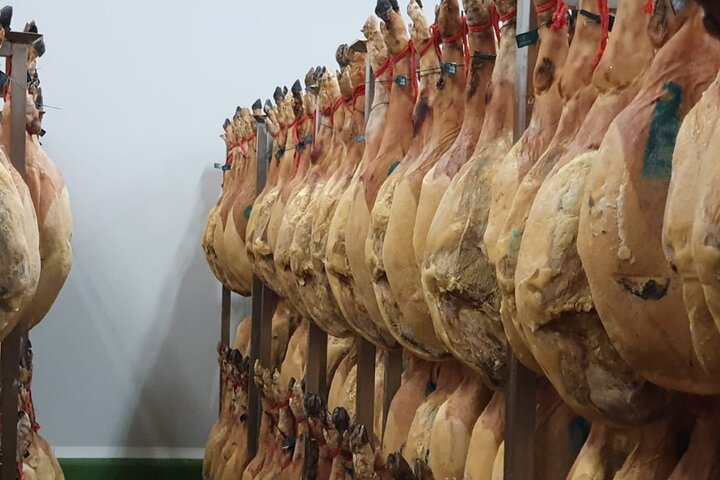 La Rioja Biosfera Azienda Suina Biologica e Degustazione di Prosciutto e Vino