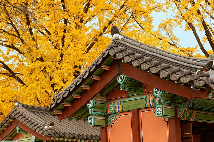 Tour privato di Seoul dall'aeroporto con un locale