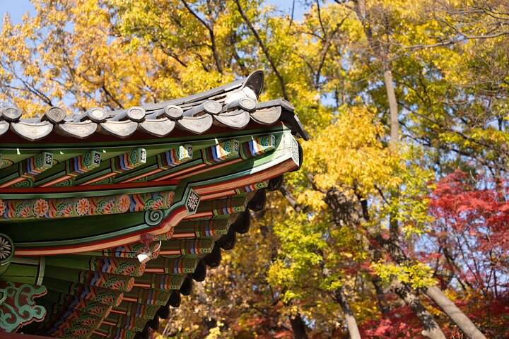 Tour privato di Seoul dall'aeroporto con un locale