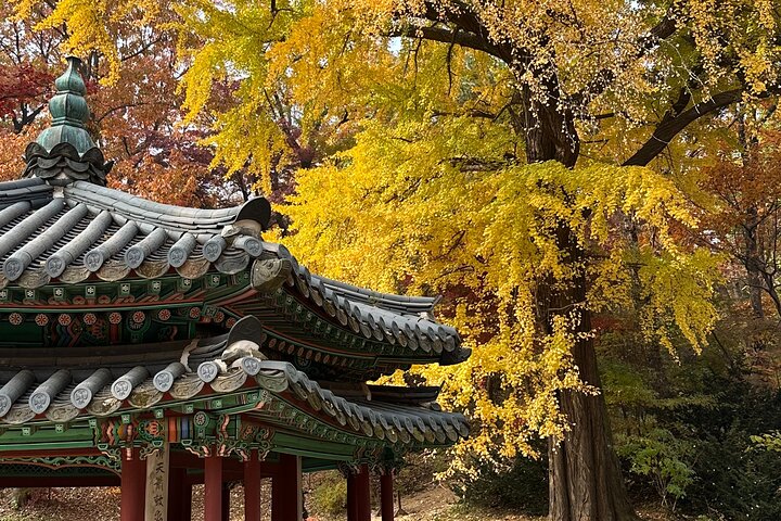 Tour privato di Seoul dall'aeroporto con un locale