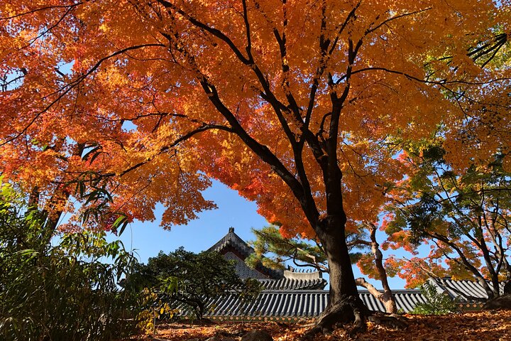 Tour privato di Seoul dall'aeroporto con un locale