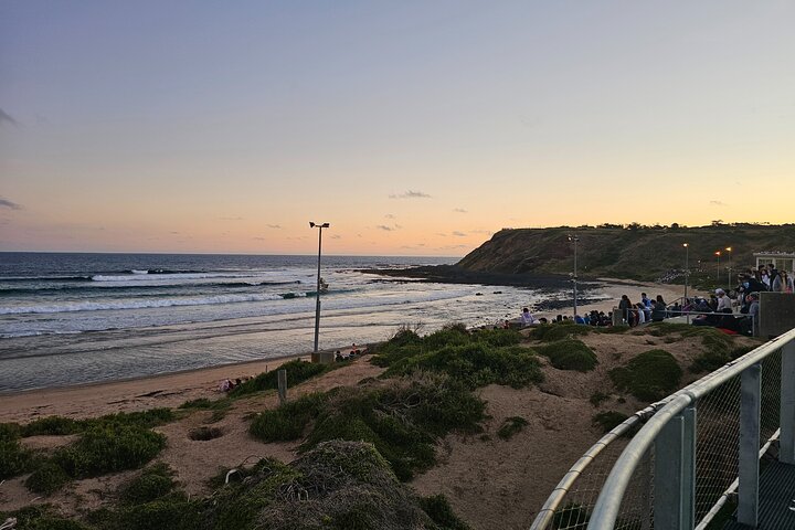 Phillip Island: Golden Hour Penguin Express Tour med Island Pickup