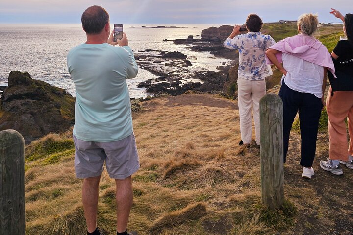 Phillip Island: Golden Hour Penguin Express Tour med Island Pickup