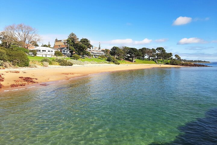 Phillip Island: Golden Hour Penguin Express Tour med Island Pickup