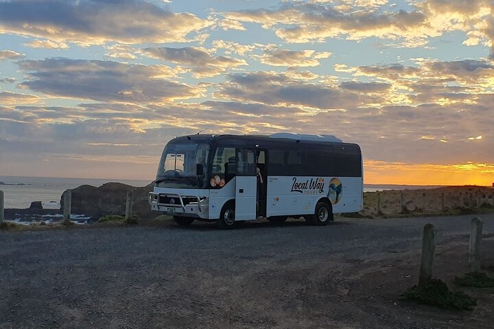 Phillip Island: Golden Hour Penguin Express Tour med Island Pickup