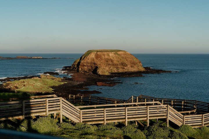 Phillip Island: Golden Hour Penguin Express Tour med Island Pickup