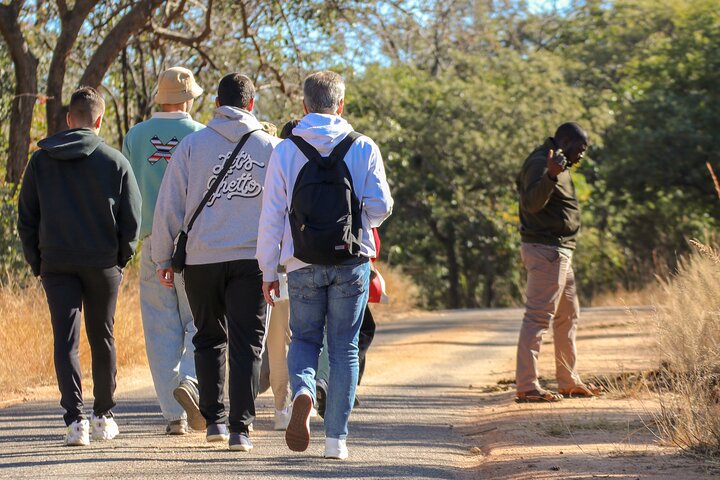 Rastreo de rinocerontes de Matobo y arte rupestre desde Bulawayo