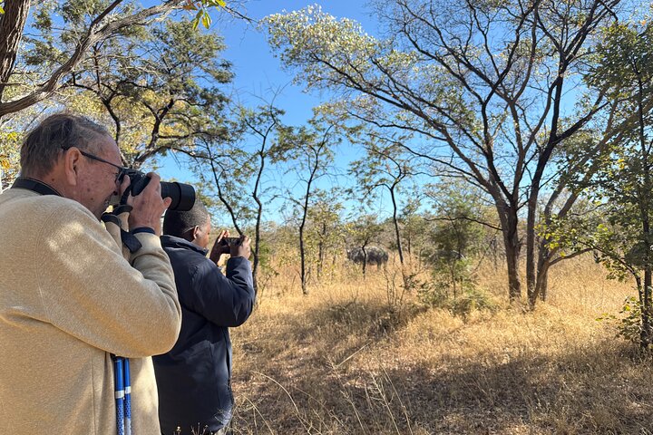 Rastreo de rinocerontes de Matobo y arte rupestre desde Bulawayo
