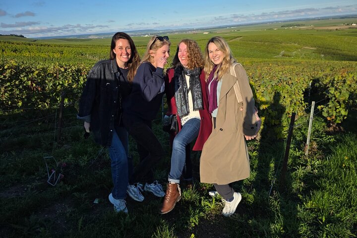 Visita di mezza giornata a Epernay South e degustazioni di champagne
