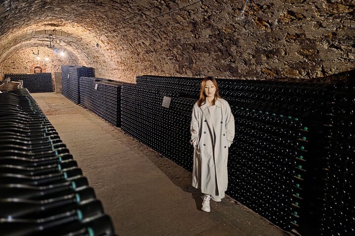 Visita di mezza giornata a Epernay South e degustazioni di champagne