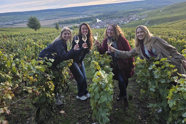 Visita di mezza giornata a Epernay South e degustazioni di champagne