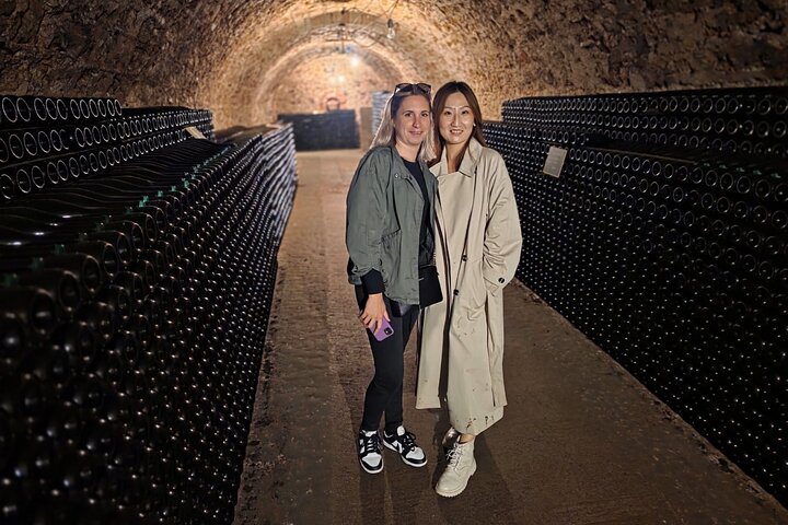 Visita di mezza giornata a Epernay South e degustazioni di champagne