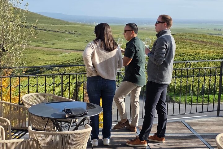 Visita di mezza giornata a Epernay South e degustazioni di champagne