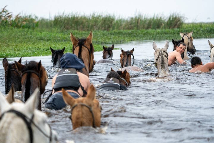 Iberá-våtmarkene på hesteryggen: En uforglemmelig gaucho-opplevelse