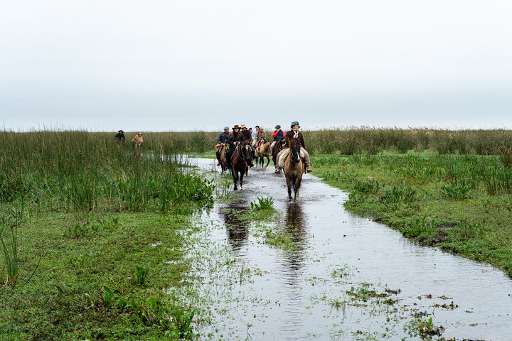 Iberá-våtmarkene på hesteryggen: En uforglemmelig gaucho-opplevelse