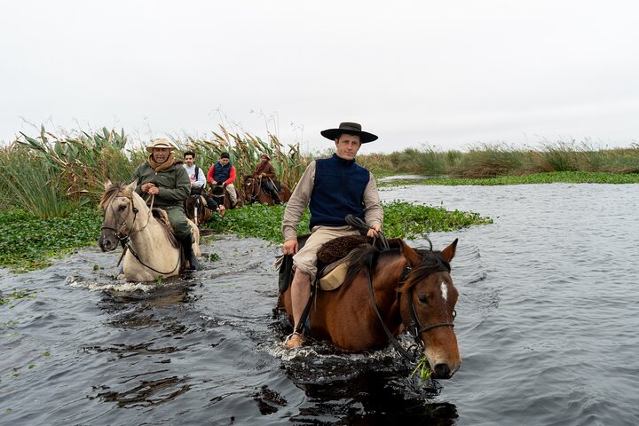 Iberá-våtmarkene på hesteryggen: En uforglemmelig gaucho-opplevelse