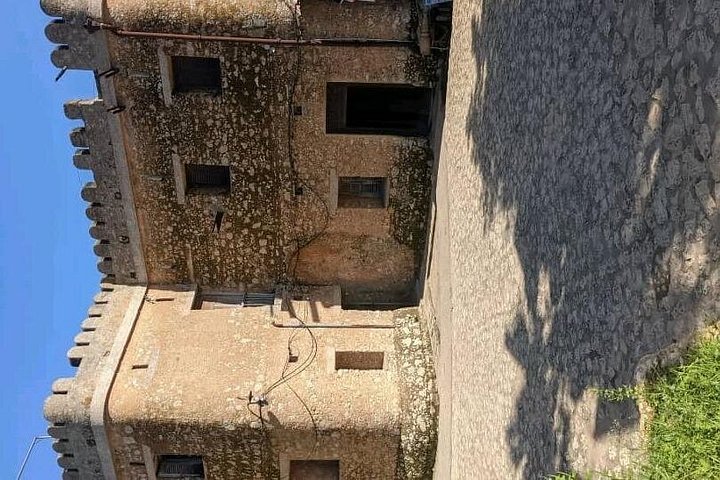 Zanzibar Stone Town e Prison Island Tour com um guia local