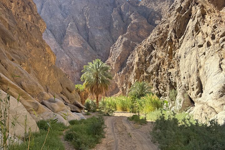 Heldagstur från Tabuk: Split Rock of Horeb & Mount Sinai