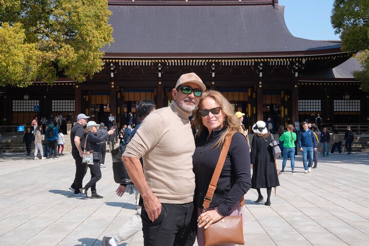 Tokyo Customized Private Tour (Must See Places in 1 Day)
