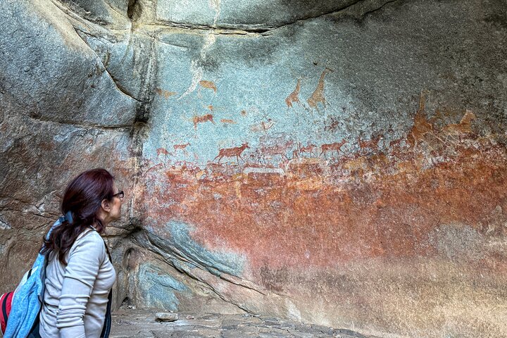 Rastreo de rinocerontes de Matobo y arte rupestre desde Bulawayo