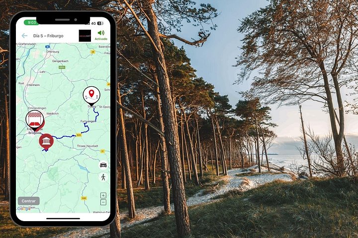Audiogids voor een roadtrip door het Zwarte Woud