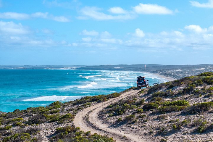 Tour di mezza giornata al Parco nazionale di Port Lincoln